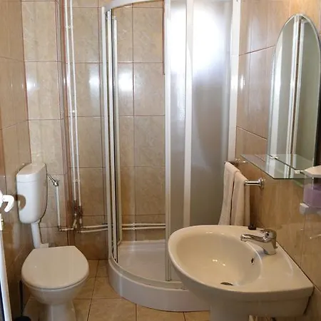 Pensiunea Balea Sat Holiday home Cartisoara