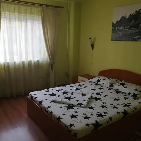 Pensiunea Balea Sat Holiday home *