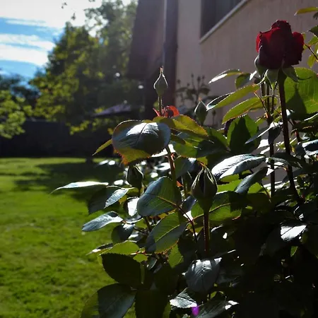 Pensiunea Balea Sat Holiday home *